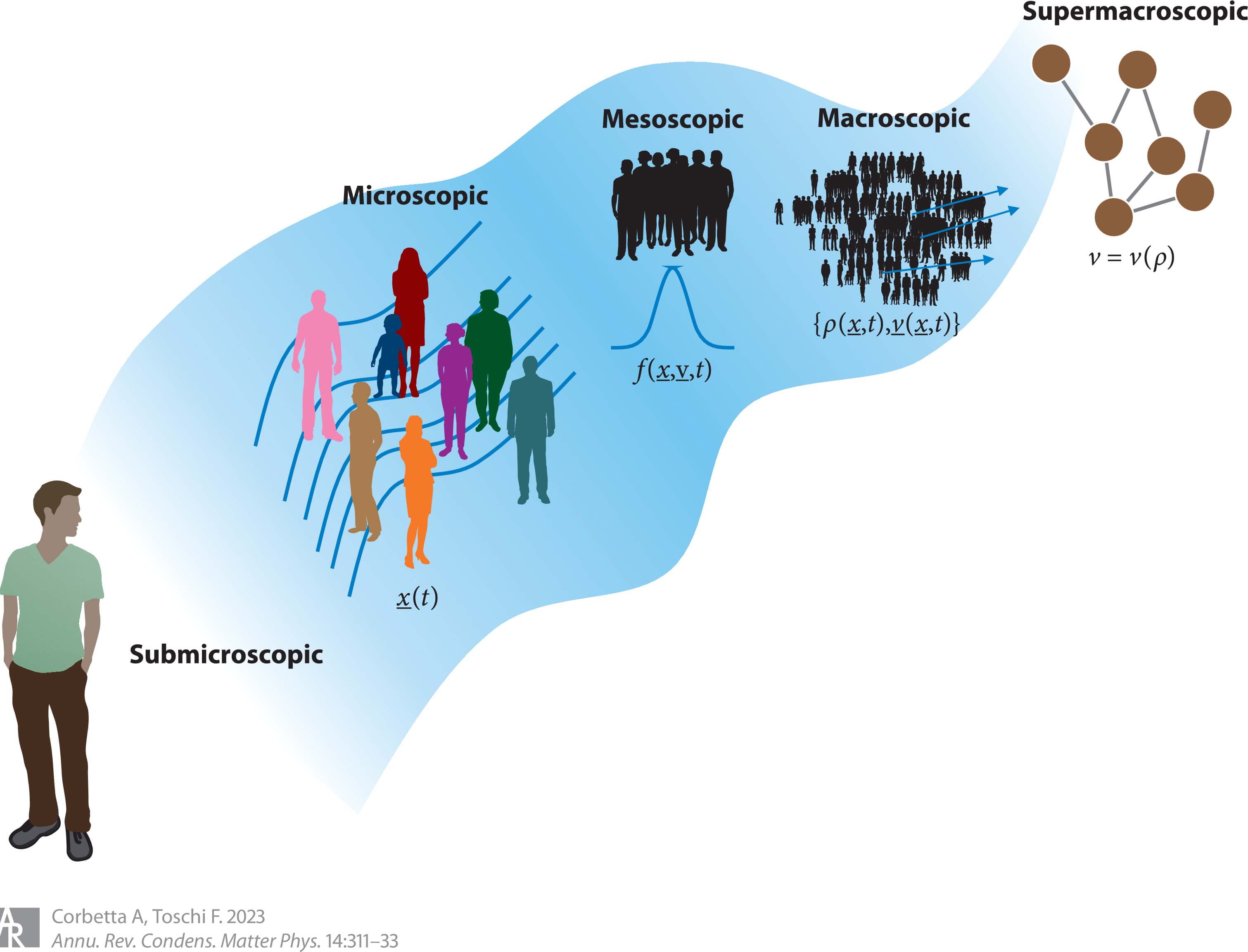 Physics of Human Crowds, Corbetta & Toschi. Annual Review of Condensed Matter Physics, vol. 14, 1, p.311-333, 2023