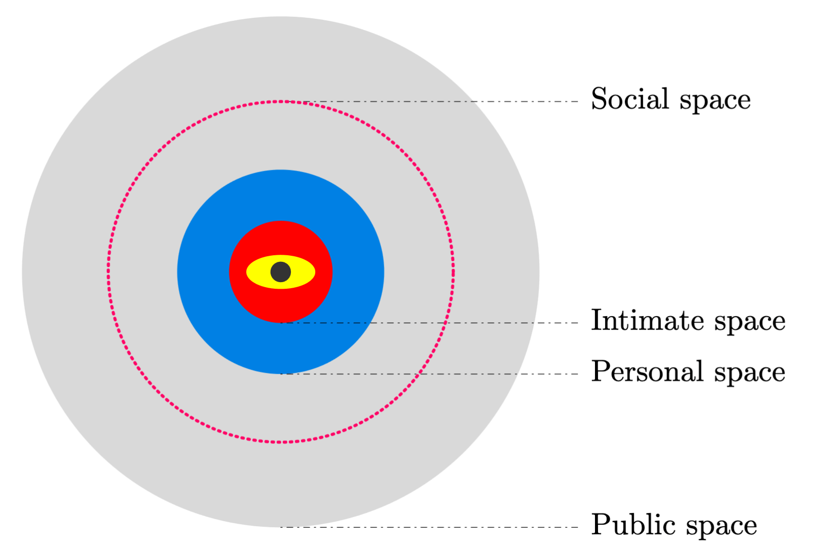 Edward T. Hall’s interpersonal distances of man (The Hidden Dimension)