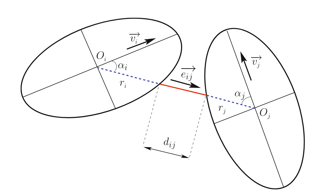 In continuous space models, whether force-based or velocity-based, pedestrians are depicted as two-dimensional figures (like ellipses, circles, etc.). The distance between these figures determines the repulsive interactions among them